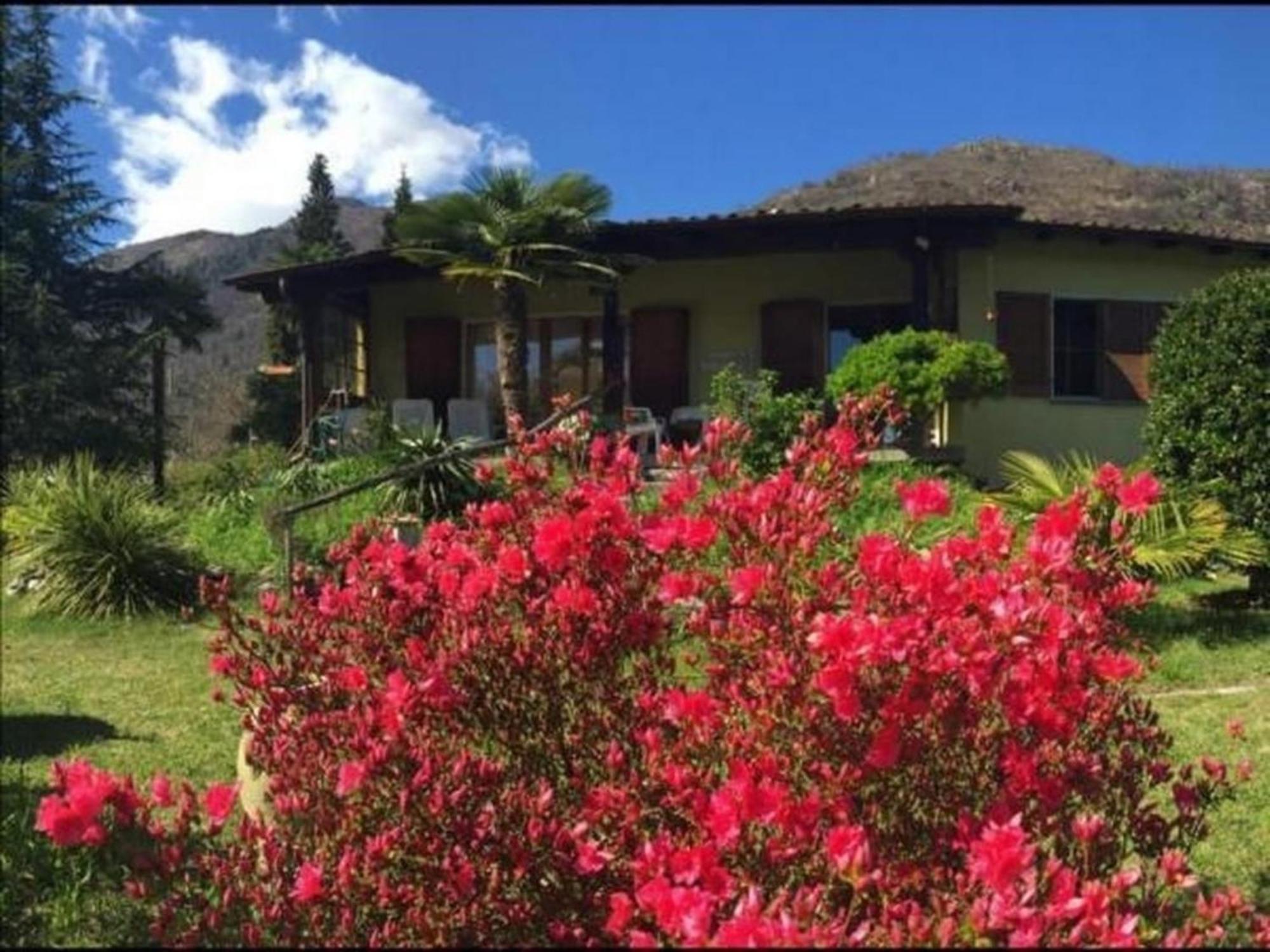"""Casa Elena -Tegna"" Die Ruheoase In Grossem Garten" Exterior photo